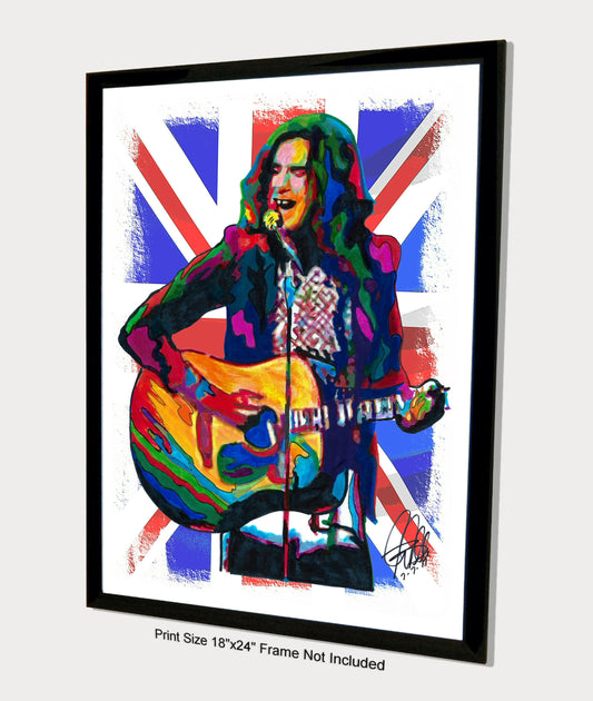 Ray Davies The Kinks Singer Guitar Rock Music Print Poster Wall Art 18x24