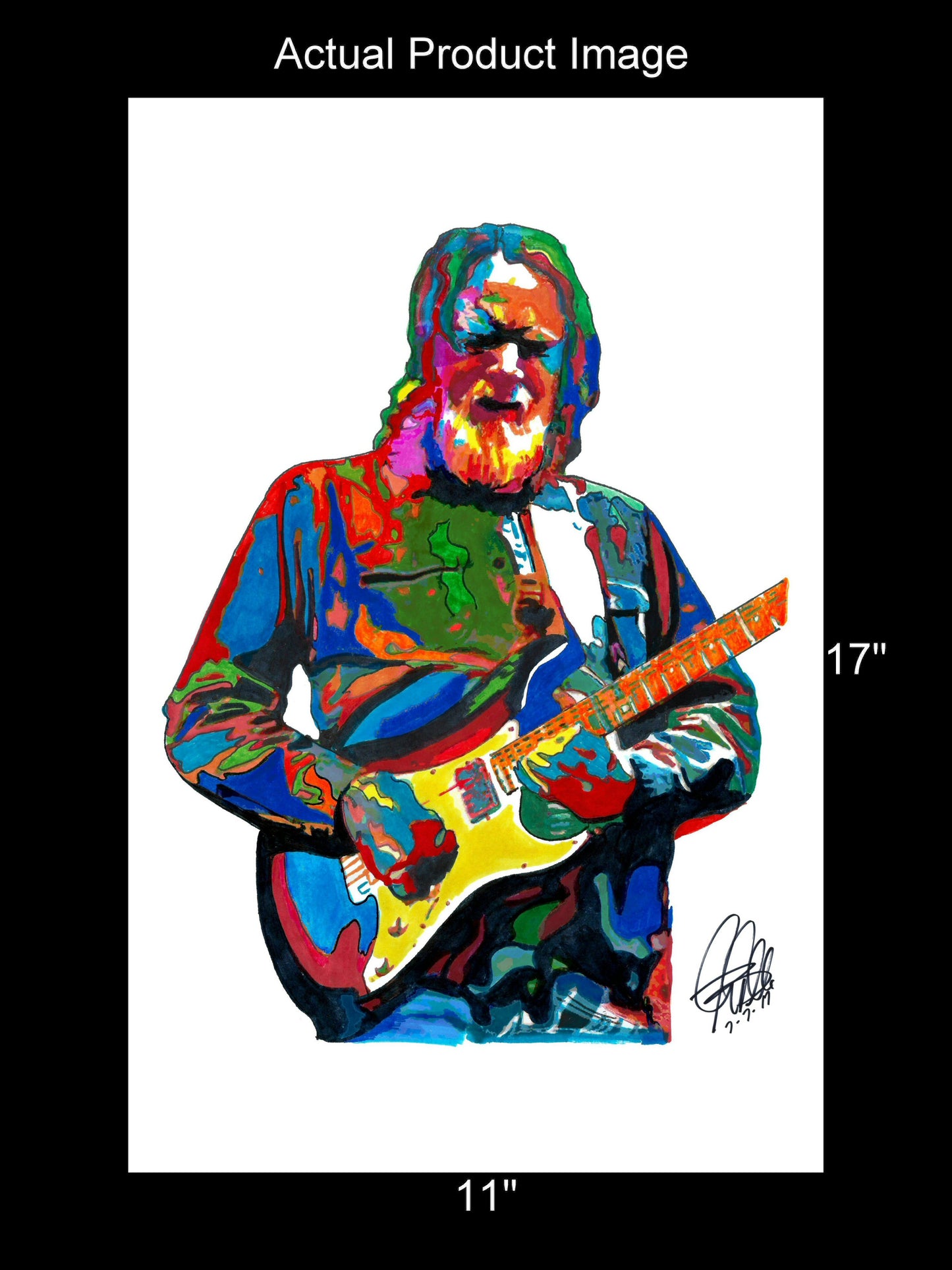 Jimmy Herring Guitar Rock Music Poster Print Wall Art 11x17