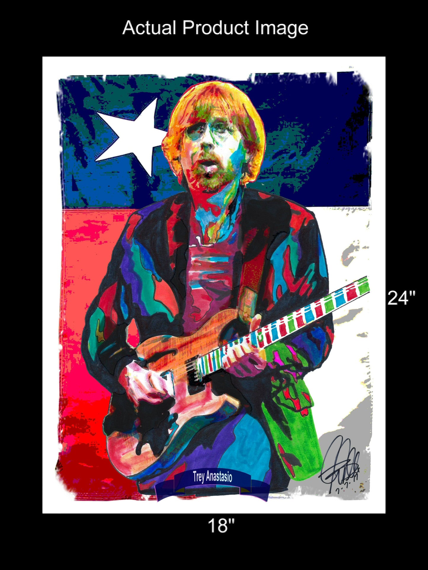 Trey Anastasio Phish Singer Guitar Rock Music Poster Print Wall Art 18x24