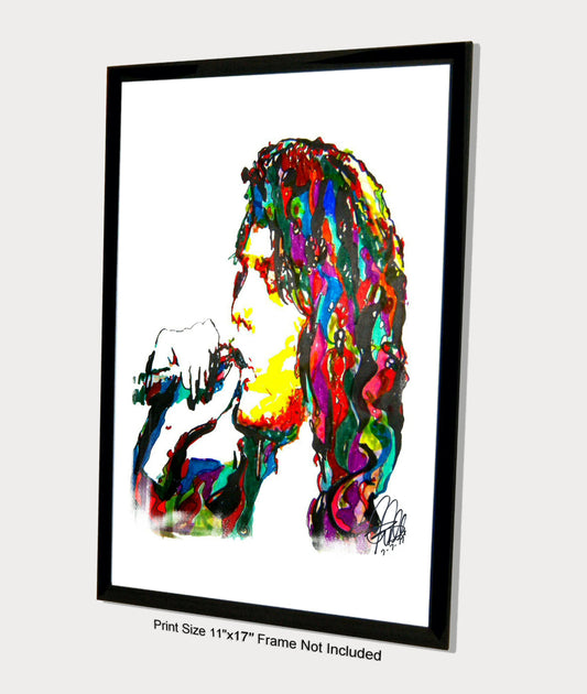 Jim Morrison The Doors Singer Rock Music Poster Print Wall Art 11x17